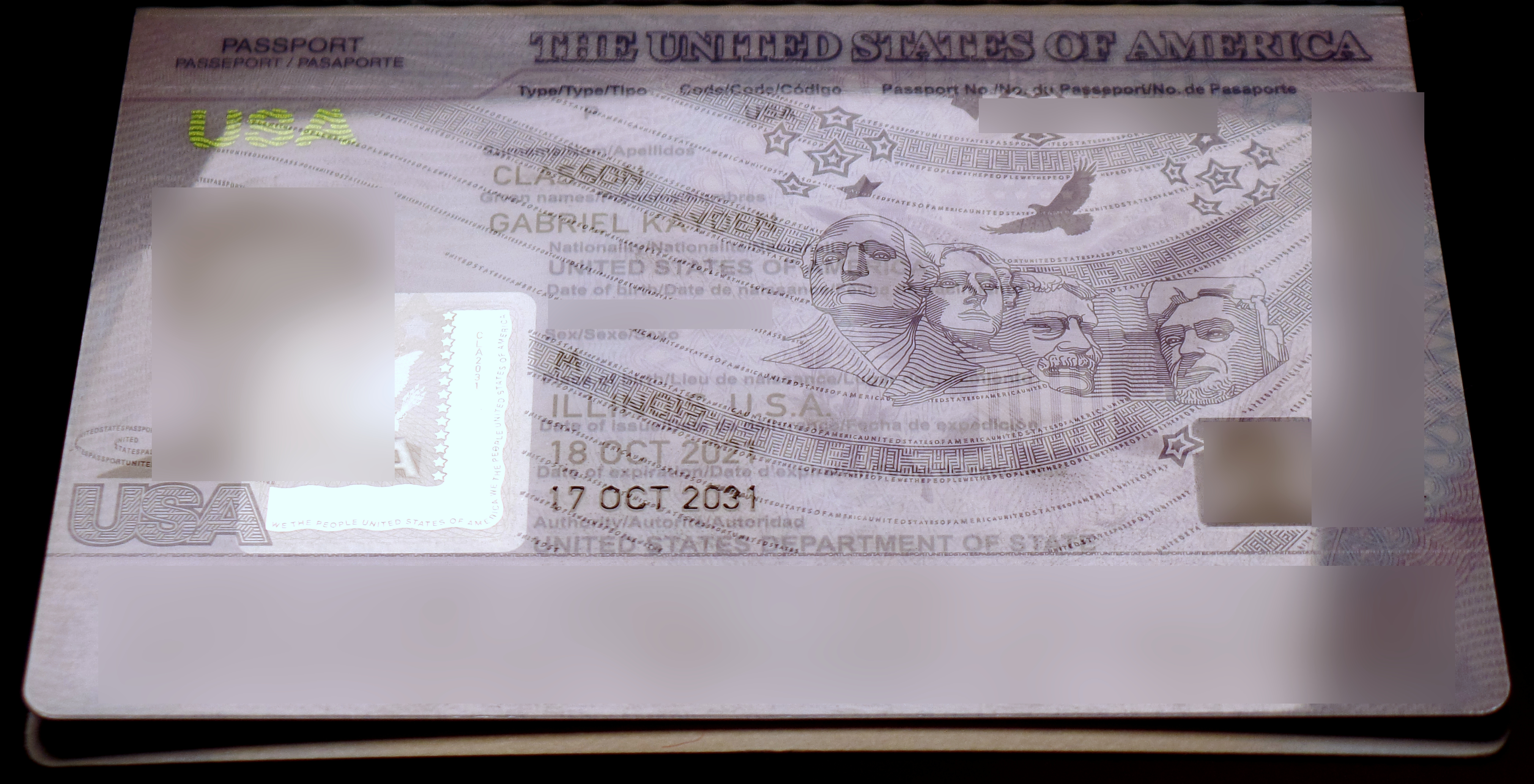A passport identification page including line drawings on Mount Rushmore, the American flag, eagles, and firework-like star clusters.