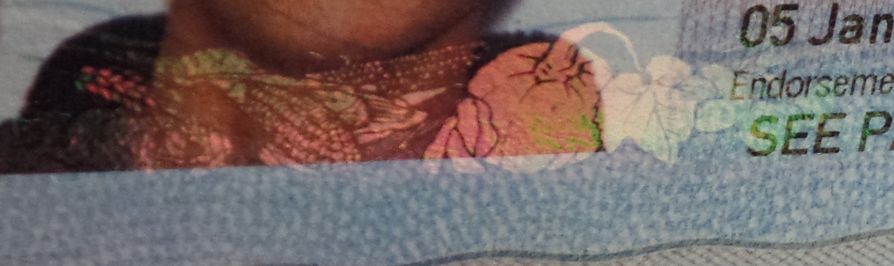 Hologram showing pumpkins and corn 